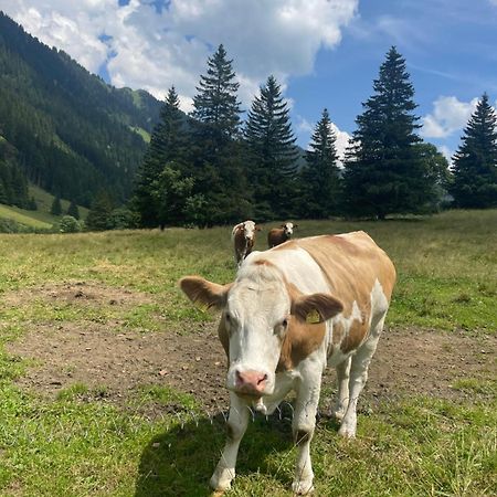 Ferienwohnungen Bianca Hasler - Stallbauer Pusterwald Exterior foto