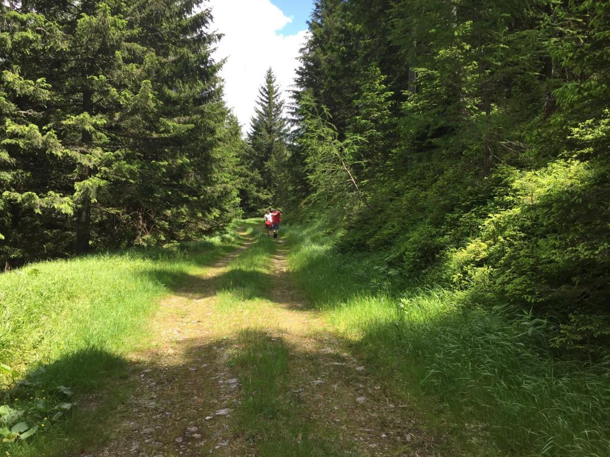 Ferienwohnungen Bianca Hasler - Stallbauer Pusterwald Exterior foto